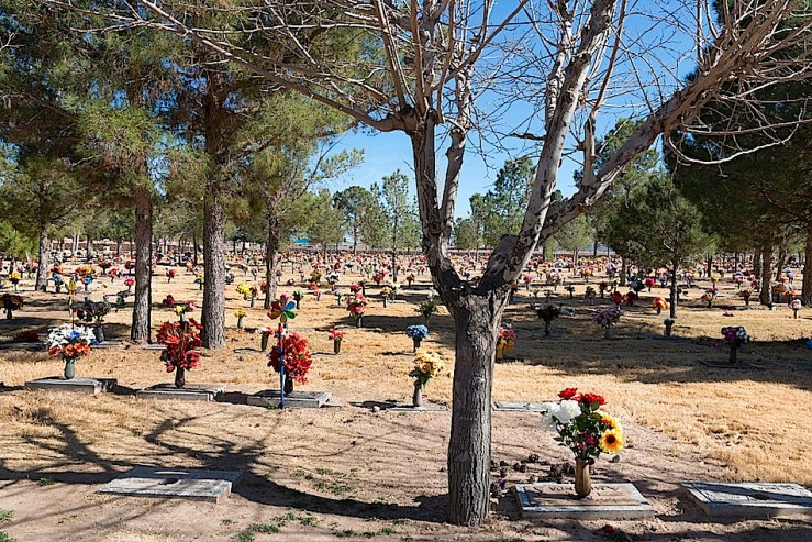 plastic flowers in Tex. cemetary, C. Highsmith, Library of Congress