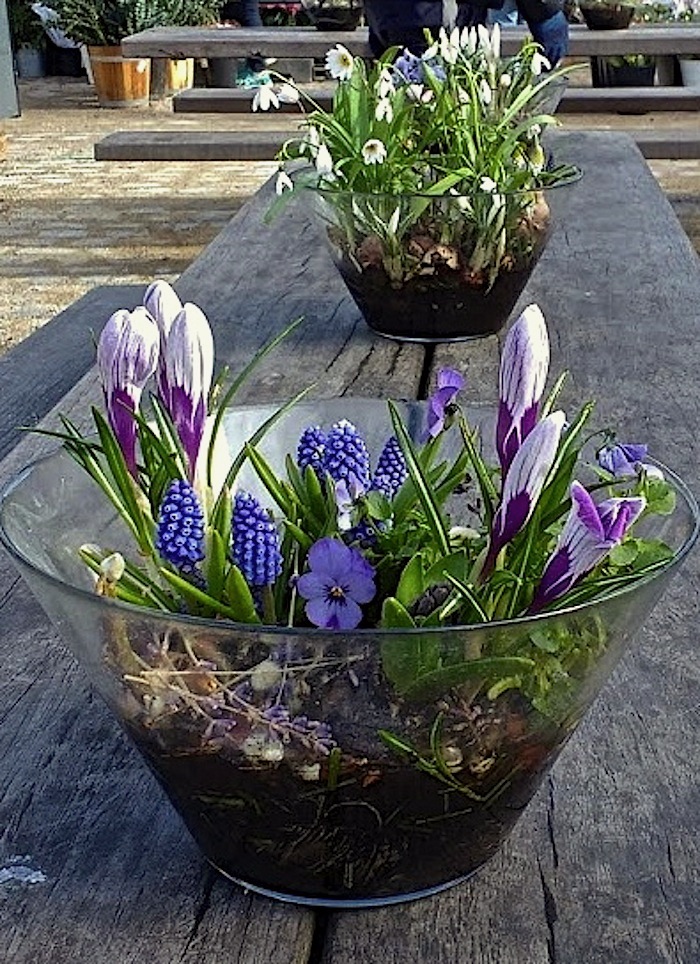 119 Copenhagen market, March 26, 2016, enclos*ure