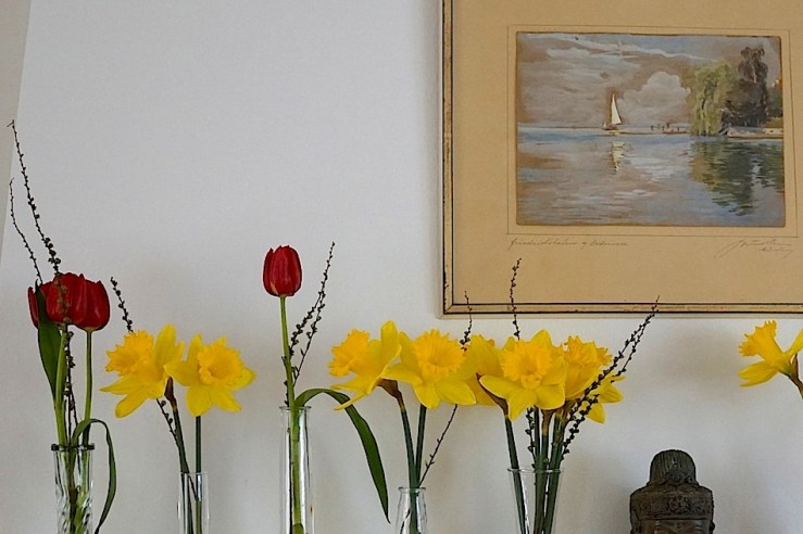 19 In a vase, Mar. 21, enclos*ure