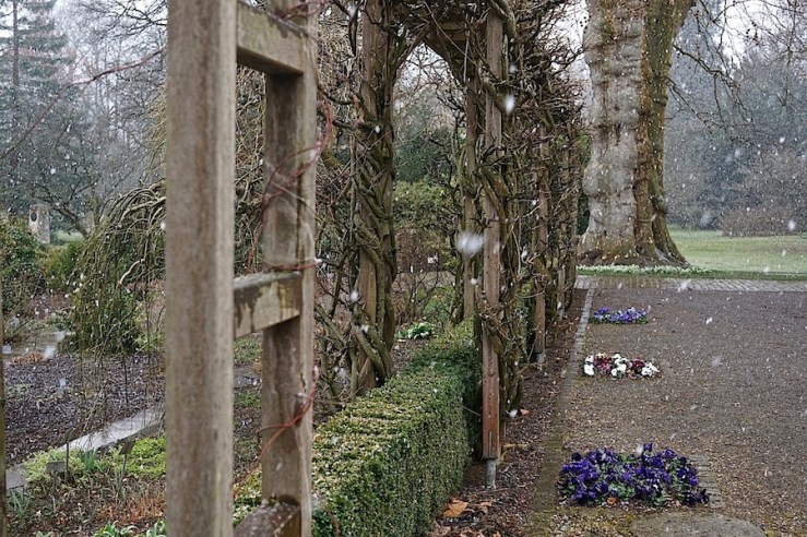 26 March 2016 Bloom Day, Stuttgart, enclos*ure