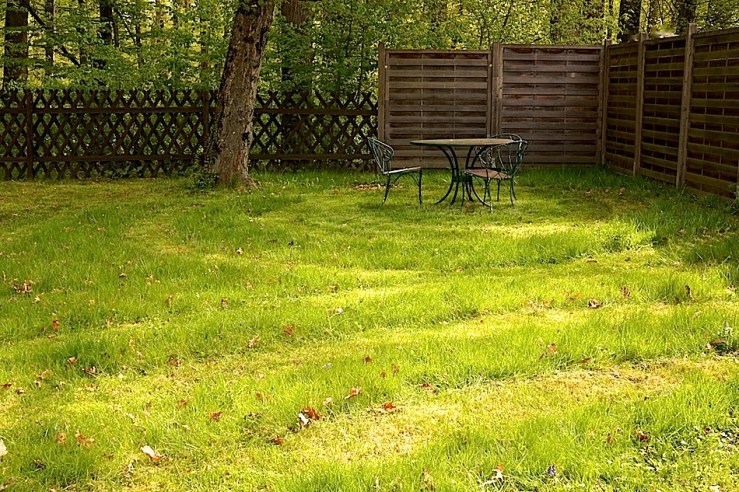 back yard, April 30, 2016, by enclos*ure