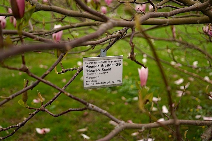 Heaven Scent3, enclos*ur