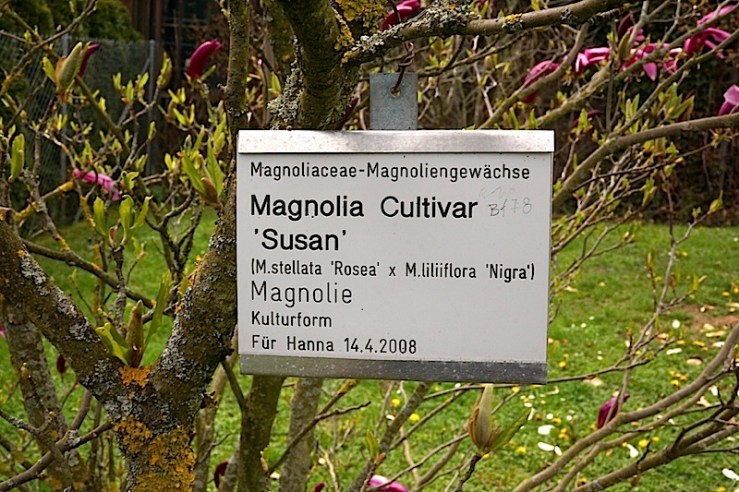 M. Susan3, enclos*ure