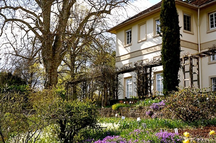 view of Spielhaus, enclos*ure