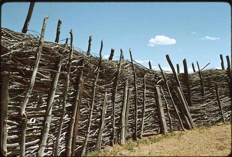 Willow corral, Suzi Jone, Library of Congress