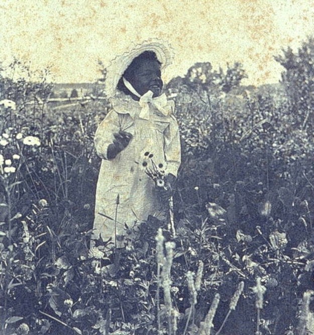 Girl in flower field, Library of Congress