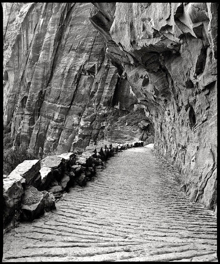 Trail, Zion Natl Park, Utah, 1980s, Library of Congress