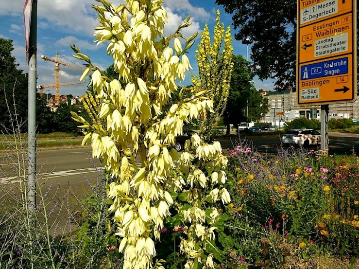 2 Karlsplatz, Stuttgart, July 2016, enclos*ure