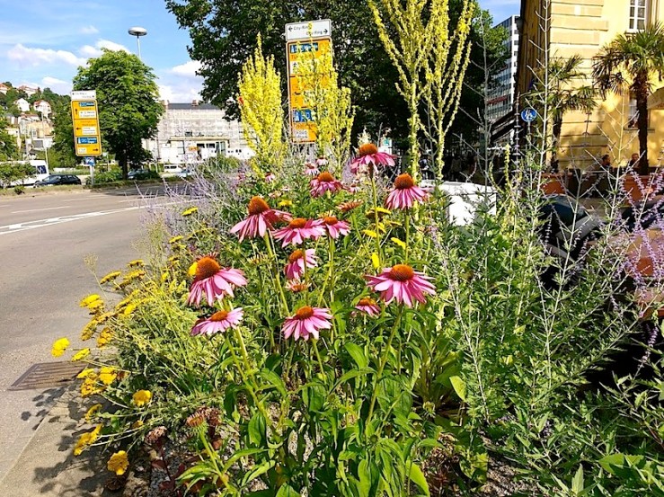 7 Karlsplatz, Stuttgart, July 2016, enclos*ure