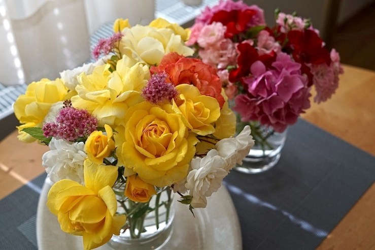 In a Vase on Mondays 1, Aug. 1, enclos*ure