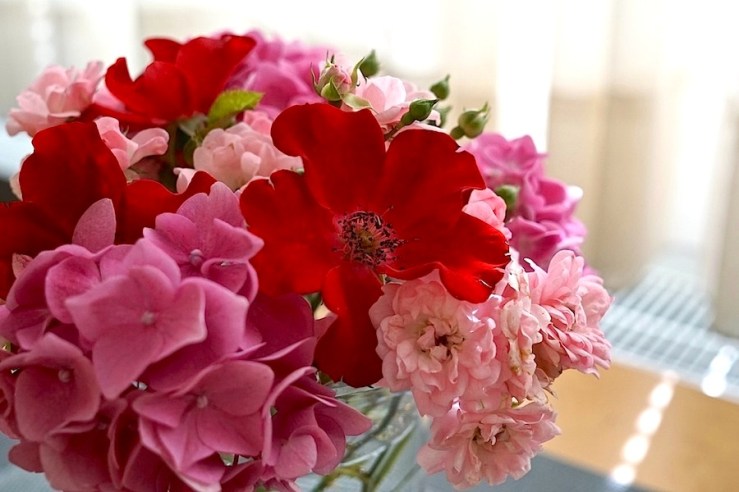 In a Vase on Mondays 2, Aug. 1, enclos*ure