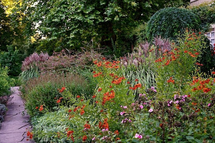 17a Hohenheim garden, Aug 23, 2016, enclos*ure