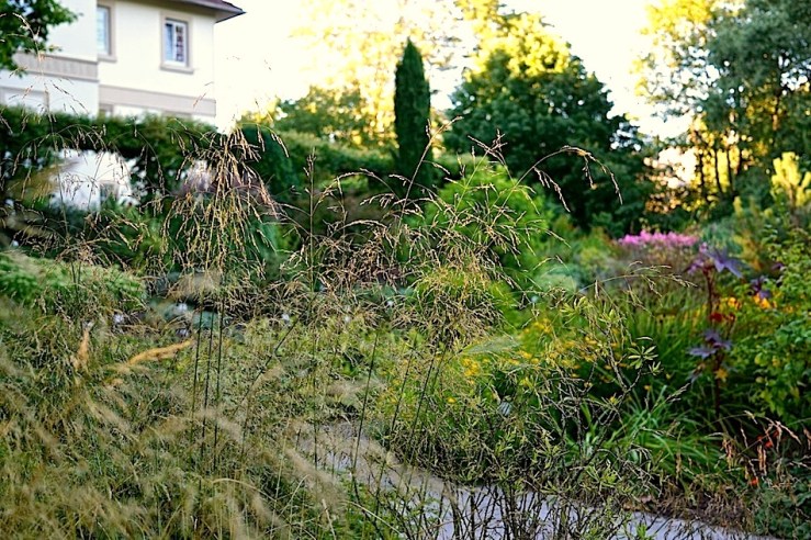 1a Hohenheim garden, Aug 23, 2016, enclos*ure