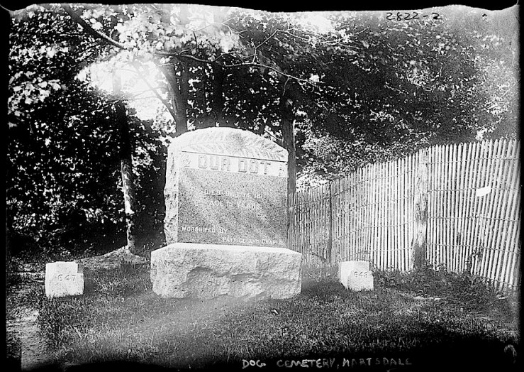 2 Hartsdale Pet Cemetary, Bain New Service, Library of Congress