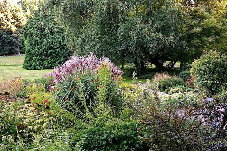 23a Hohenheim garden, Aug 23, 2016, enclos*ure