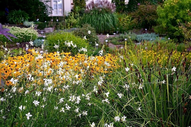 26a Hohenheim garden, Aug 23, 2016, enclos*ure