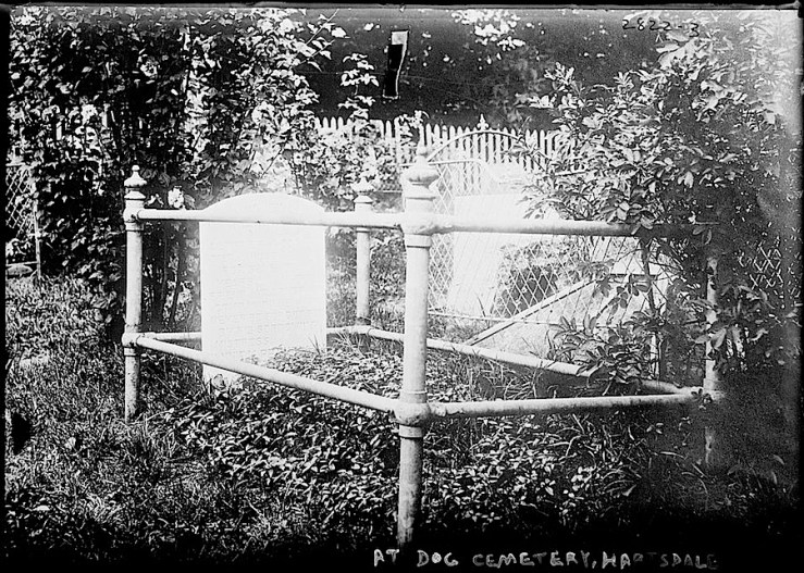 3 Hartsdale Pet Cemetary, Bain New Service, Library of Congress