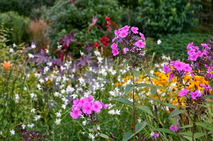 32a Hohenheim garden, Aug 23, 2016, enclos*ure