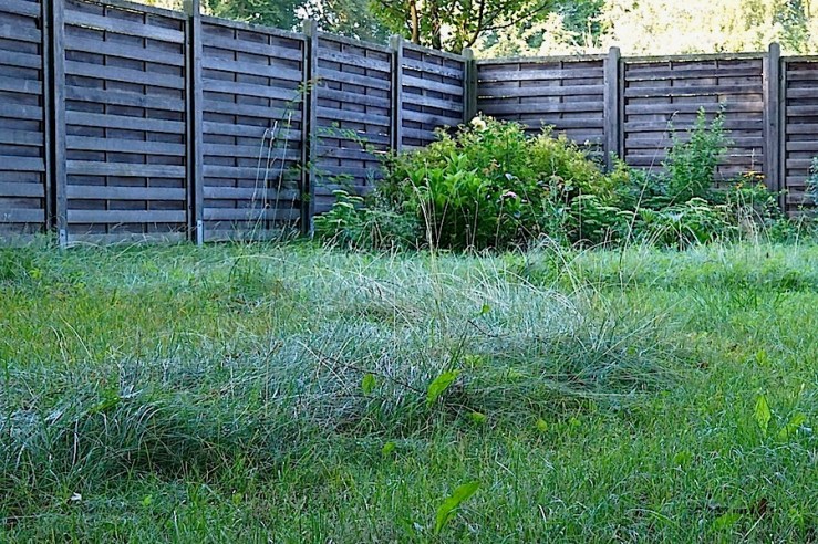 August 16, 2016, enclos*ure