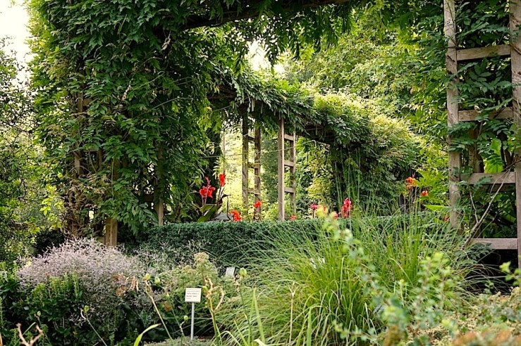 Hohenheim garden 2, Aug. 2015, enclos*ure