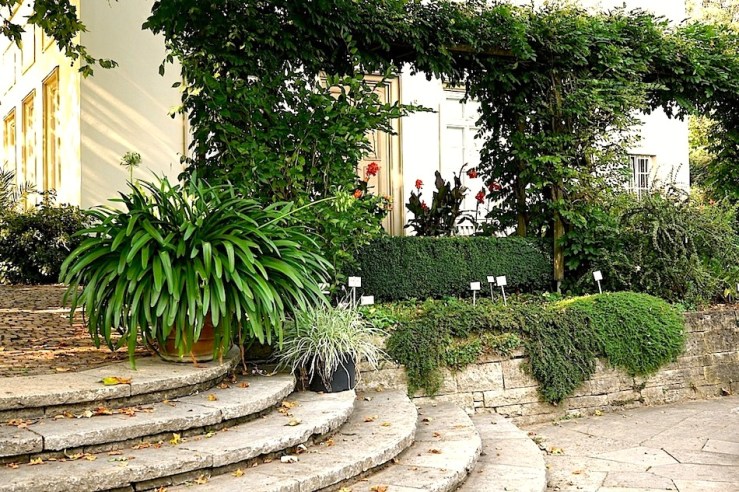 Hohenheim garden 4, 2015, enclos*ure