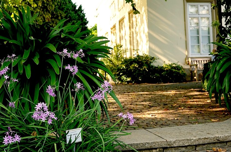 Hohenheim garden 6, 2015, enclos*ure