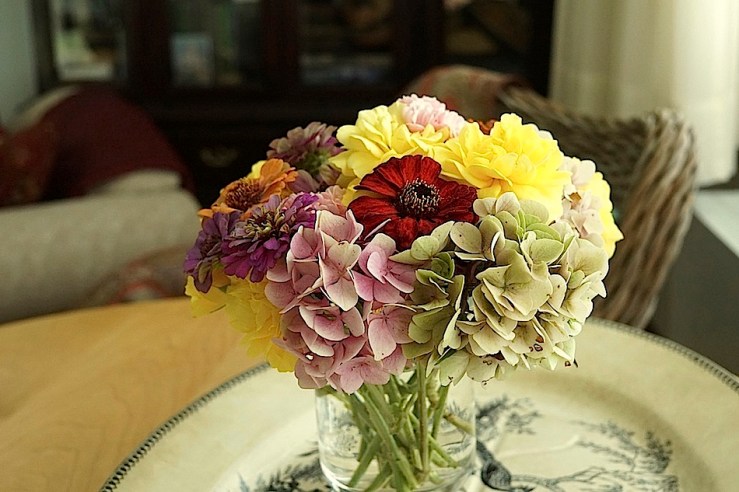 on red zinnia, Aug 29, In a vase, enclos*ure