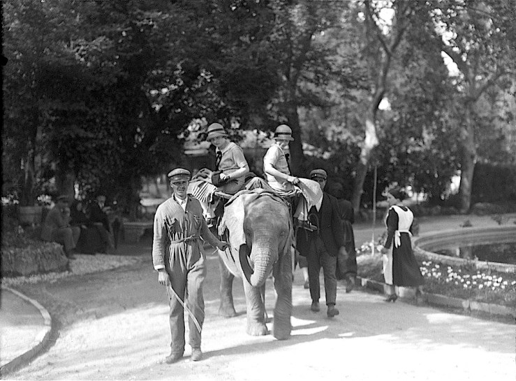 Zoological Park, Lisbon, Bibliotheca de Arte, Lisbon, flickr.