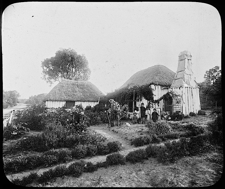 1886-by-c-kerry-via-national-library-of-australia