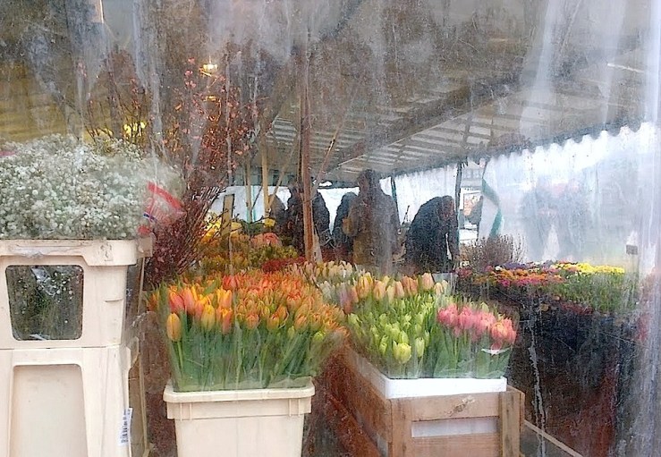 ulm-flower-seller-feb-11-by-enclosure