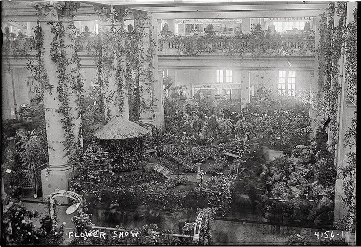 flower-show-bain-collect-library-of-congress